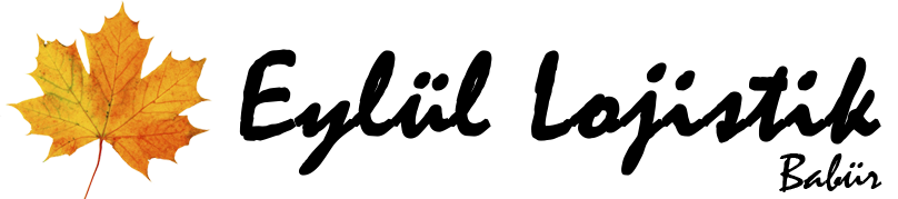The Project